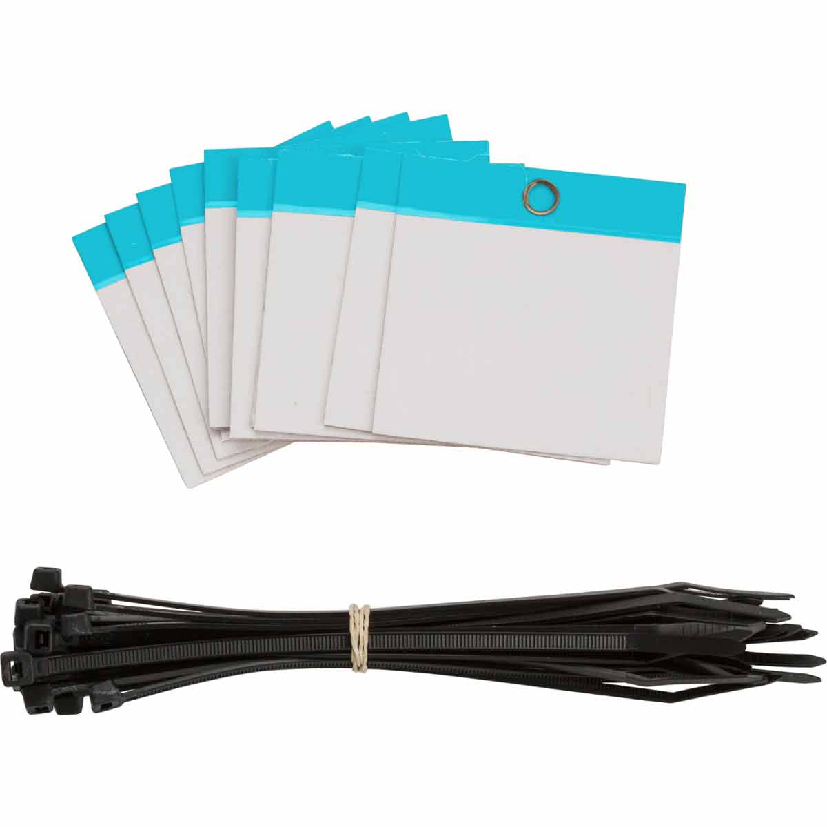 Self Laminating Blank Tags Polyester 3 in H x 3 in W Blue 25 PK 102007