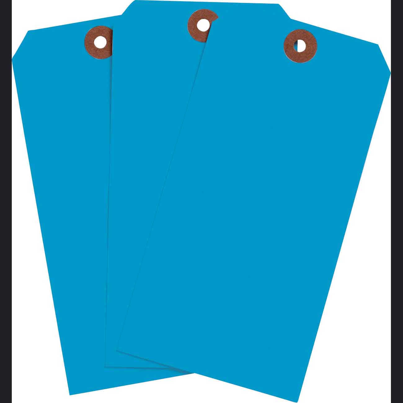 Blank Write On Tags  5 75  H x 2 875  W  Cardstock  Light Blue 1000 PK 102094