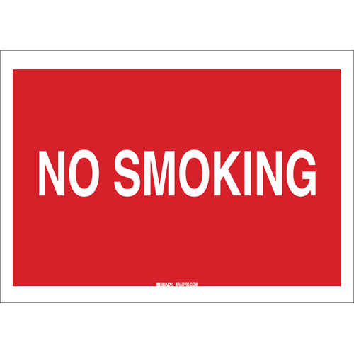 No Smoking Sign 42687