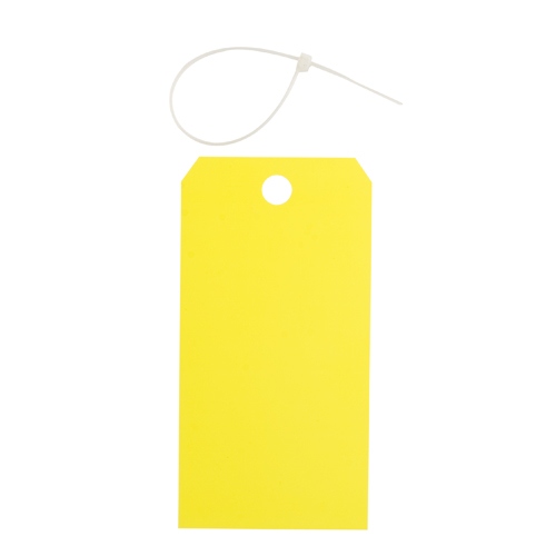 Blank Accident Prevention Tags 65350
