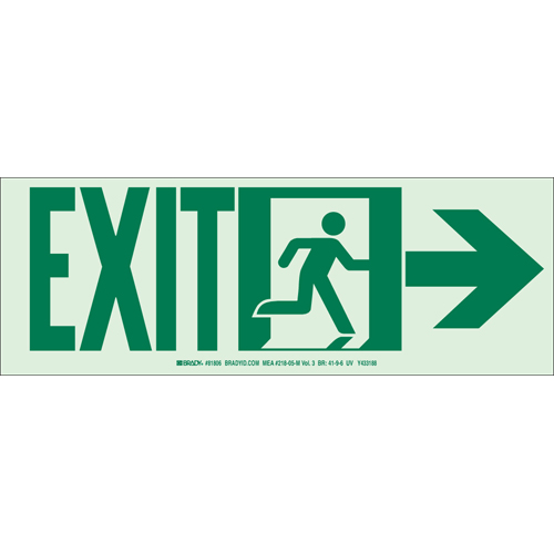 Glow In The Dark Safety Guidance Sign 81806