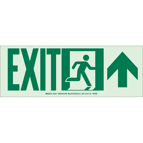 Glow In The Dark Safety Guidance Sign 81810