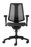 Modern Mesh Chair  Contoured Backrest with Lumbar Support  Seat Slider  Adjustable Arms MM6077V