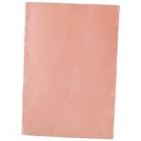 Protektive Pak 49109 Bag  Pink Poly 4Mil 8X10 No Zip 49109