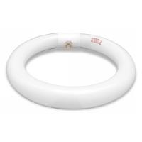 ML 2000   ML 1000 Replacement Bulb ML12 22W BLB